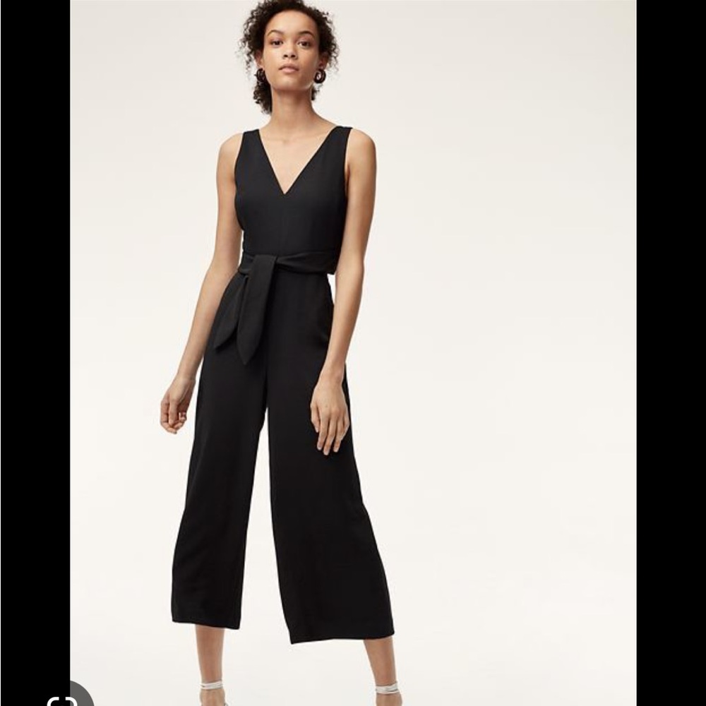 Aritzia Maxamillion Jumpsuit